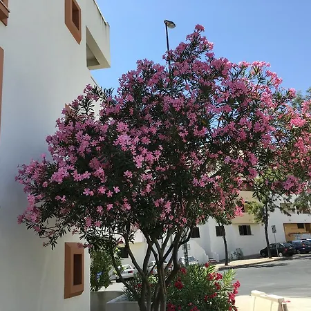 Apartment Lovely Beach Bellavista